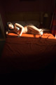 Rina Koike - Deepincream Porn Lumb P10 No.880af0
