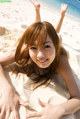 Miyu Hoshino - Tits Xxx Indya P4 No.5ef9d2