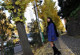 Marina Shiina - Daci Nxx Video P5 No.4d47da